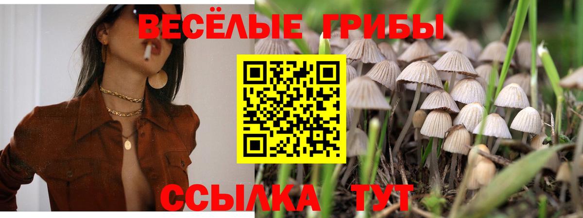 Галлюциногенные грибы Magic Shrooms  Вход с VPN  дарнет шоп  Псилоцибиновые грибы прущие грибы  Кумертау 